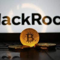 blackrocks-chief-investment-officer-says-bitcoin-is-ultimately-going-considerably-higher-c49504a.jpg