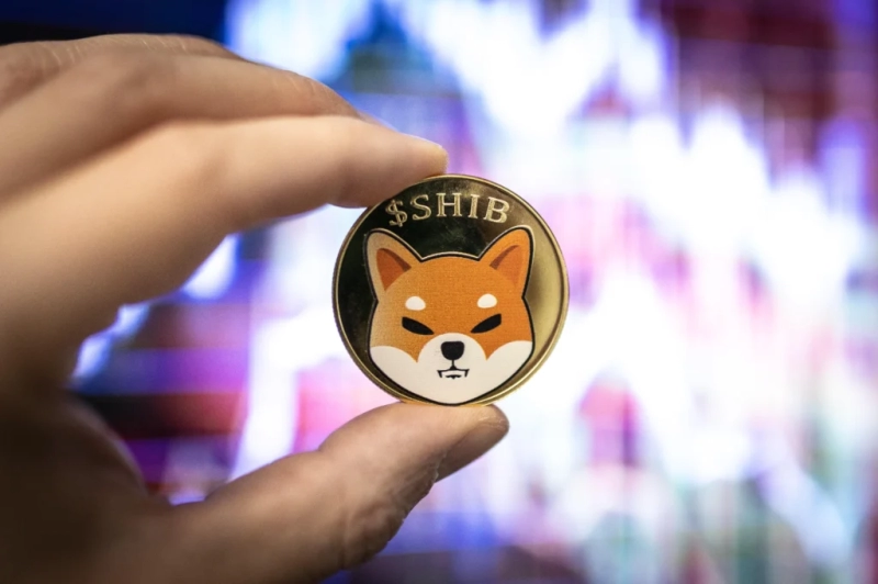 Shiba Inu burn rate collapses by over 91% today; what’s next for SHIB price?