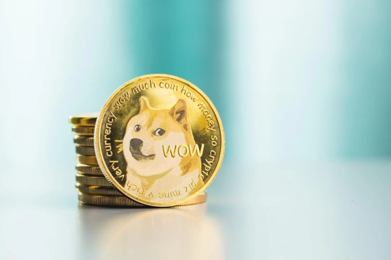 Just 13 Dogecoin addresses control 46% of DOGE supply